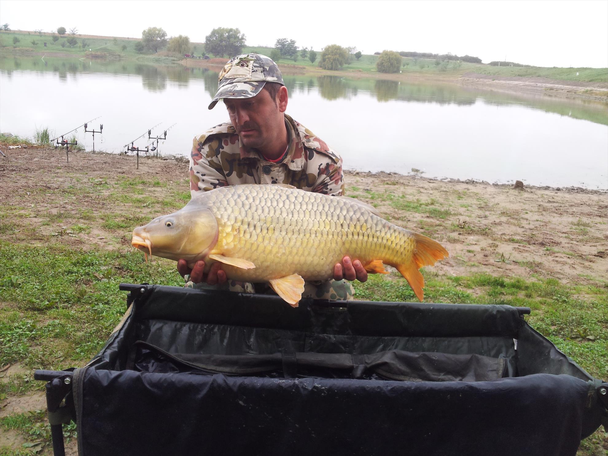 Cetariu 04-06.10.2015 - 20151006095309.jpg